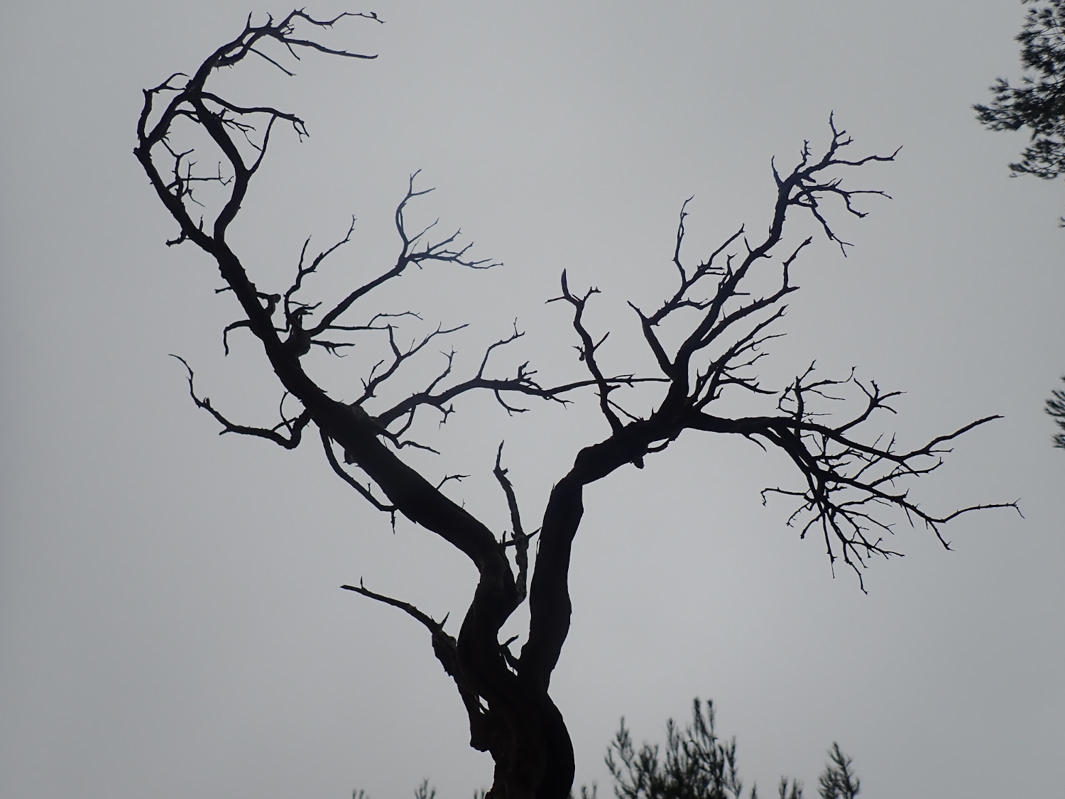 Photographie : Yann leblanc - 2023